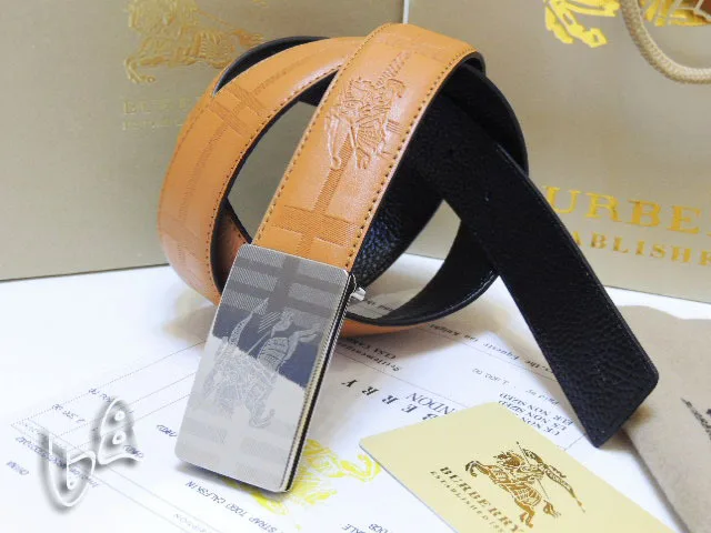Burbery belt LB (29)